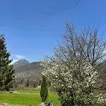 Appartement Alpenherz *