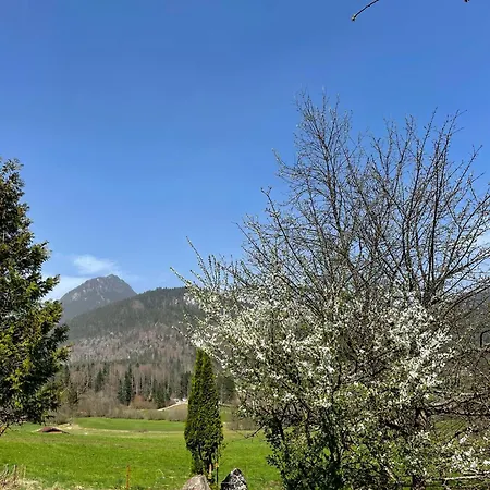 Apartament Alpenherz *