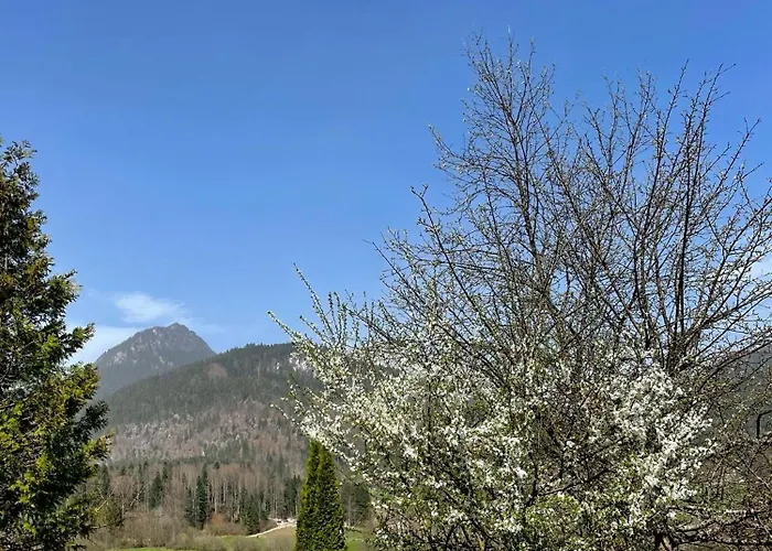 Appartamento Alpenherz *